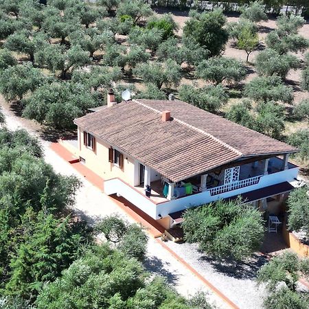 Rustico Degli Ulivi Appartement Orosei Buitenkant foto