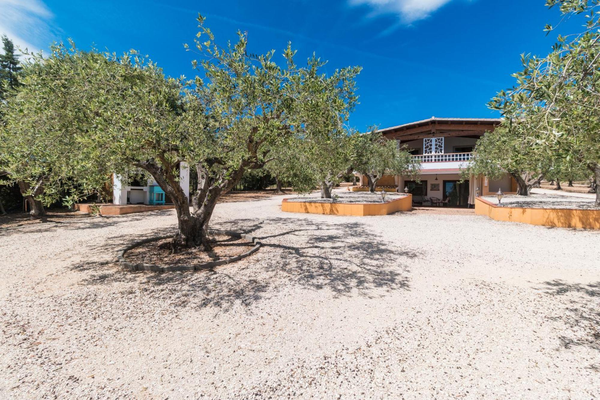 Rustico Degli Ulivi Appartement Orosei Buitenkant foto