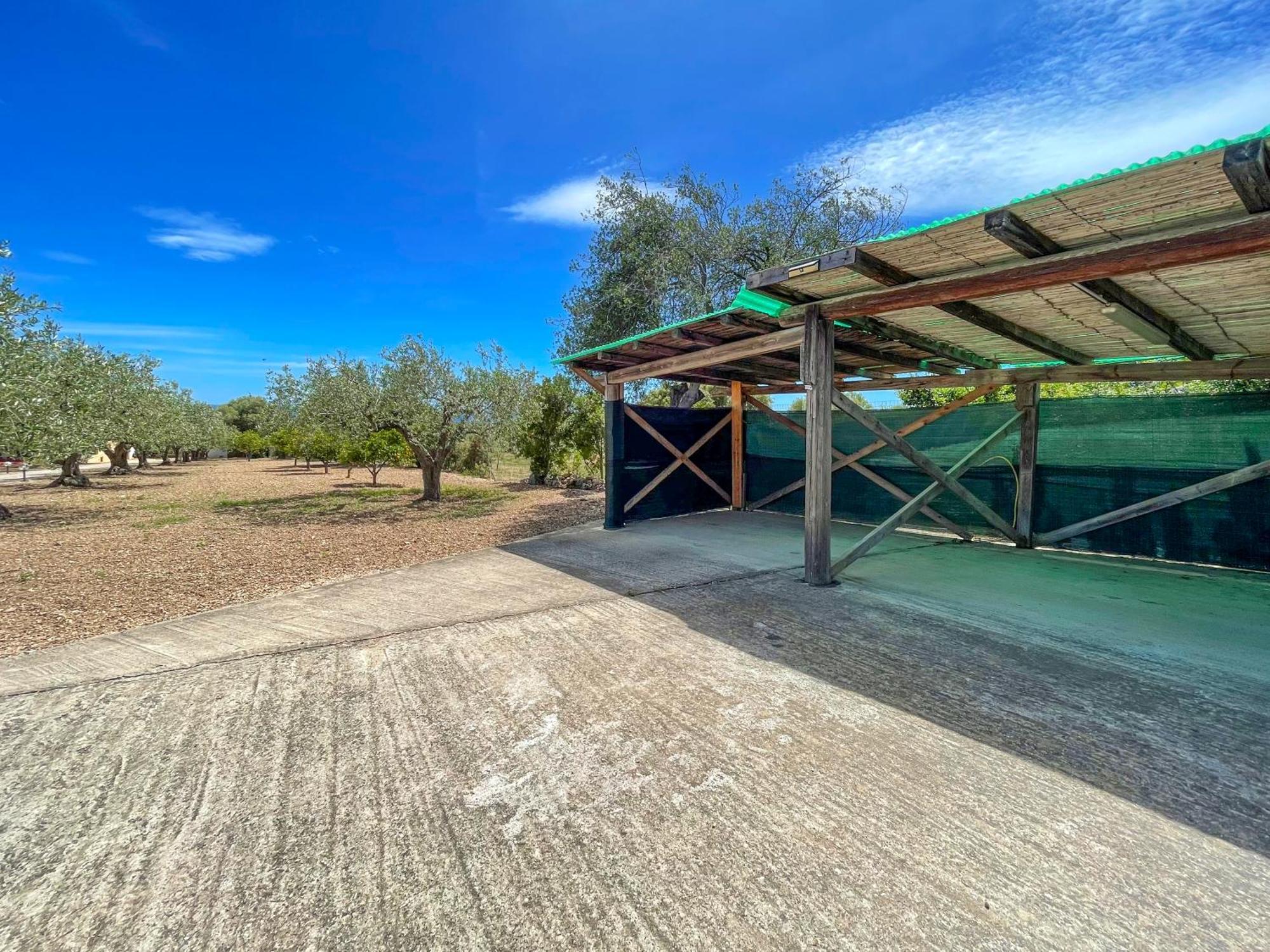 Rustico Degli Ulivi Appartement Orosei Buitenkant foto